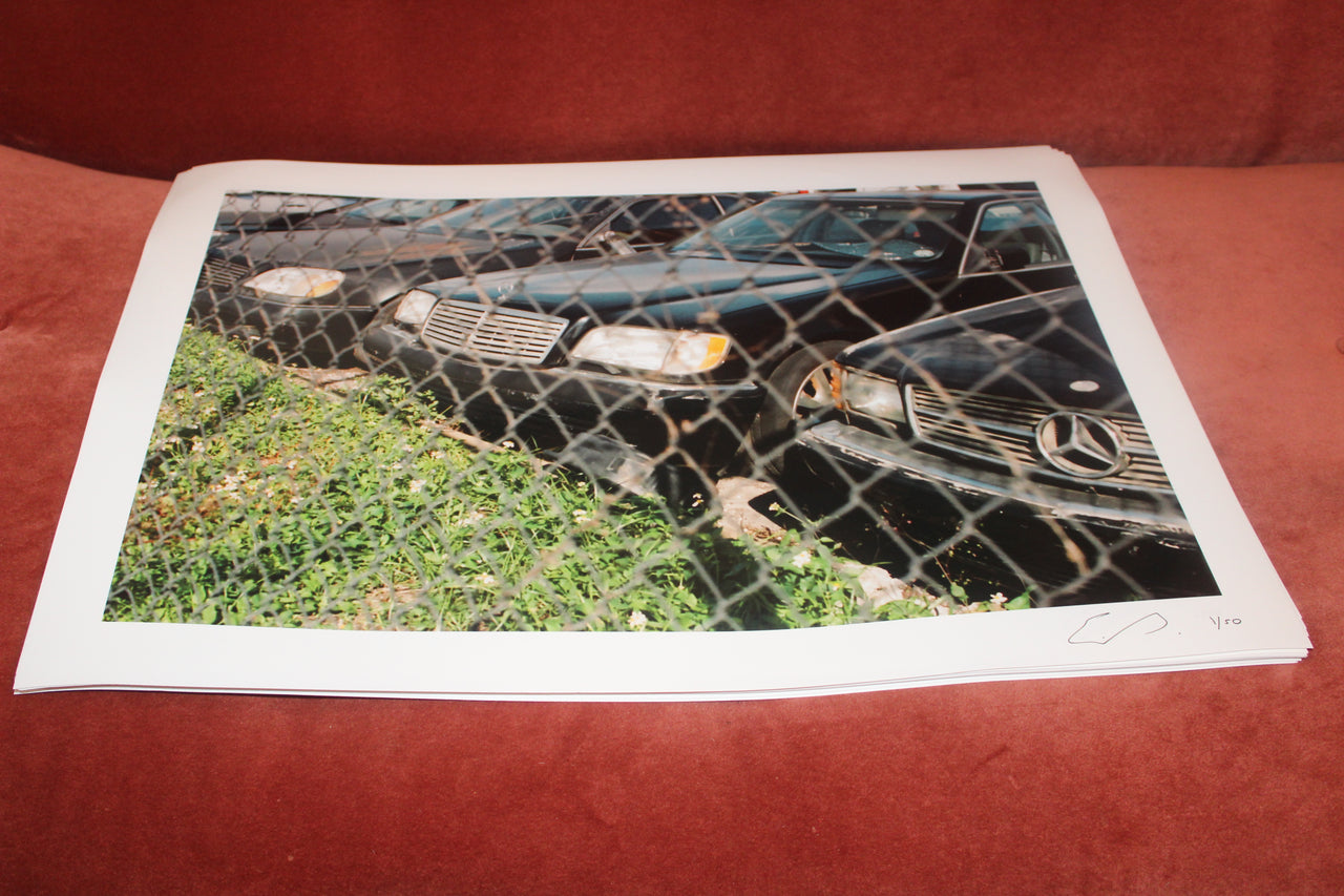 Model88E: Protect the Black Orchid Print