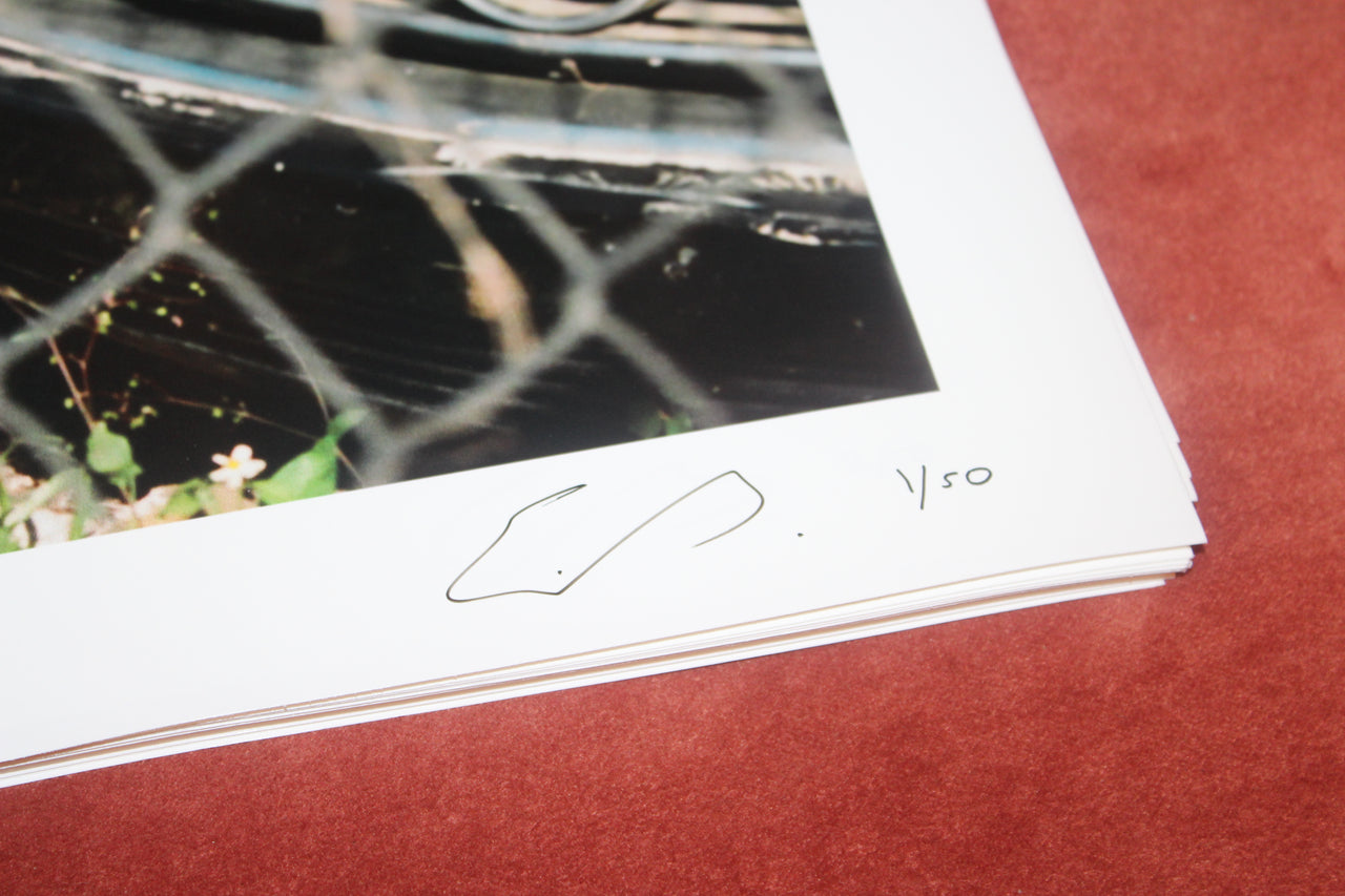 Model88E: Protect the Black Orchid Print